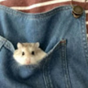 Meet your Posher, Shanti